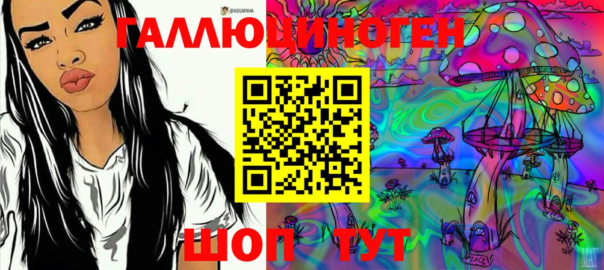 Псилоцибиновые грибы Psilocybine cubensis Туапсе